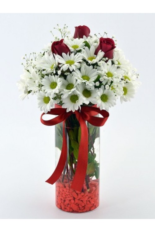 CAM VAZODA BEYAZ PAPATYA VE 3 ADET KIRMIZI GÜL