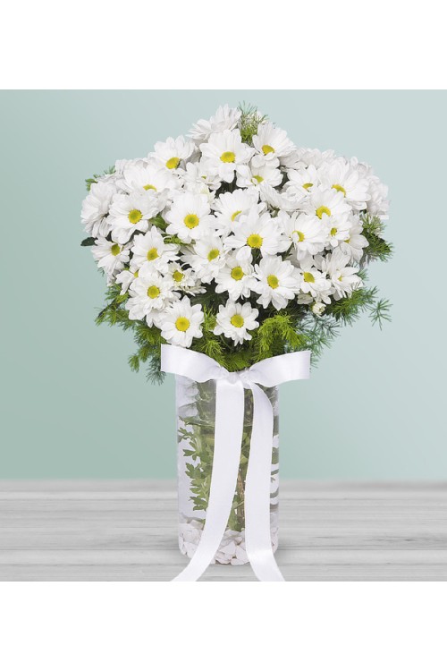 CAM VAZODA BEYAZ PAPATYA 