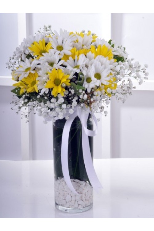 CAM VAZODA SARI BEYAZ PAPATYA 