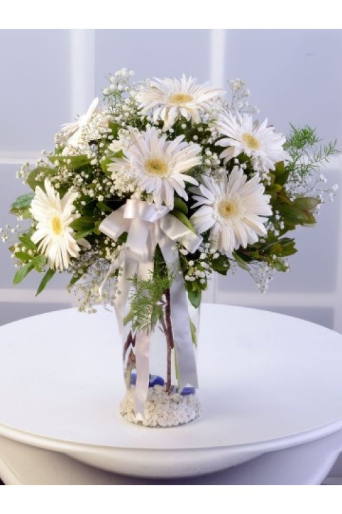 CAM VAZODA BEYAZ CELBERA