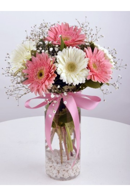 CAM VAZODA PEMBE BEYAZ CELBERA