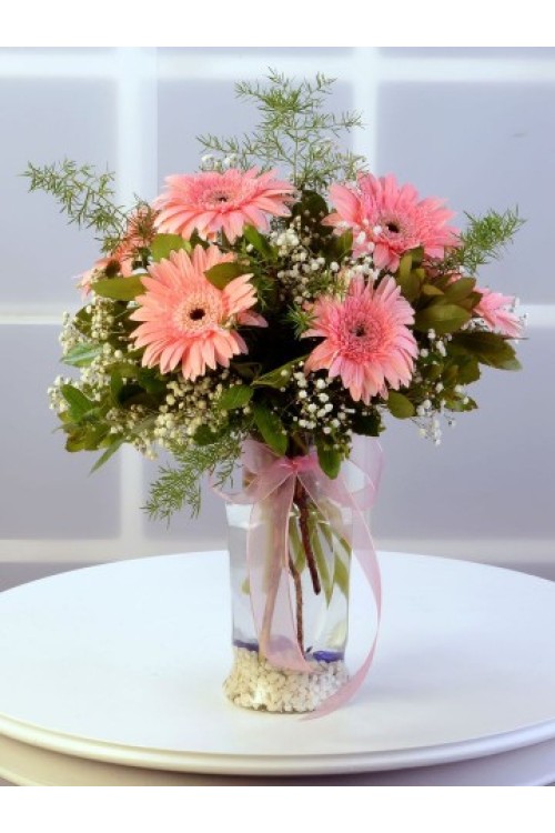 CAM VAZODA PEMBE CELBERA