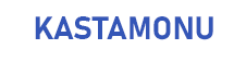 Kastamonuya Çiçek